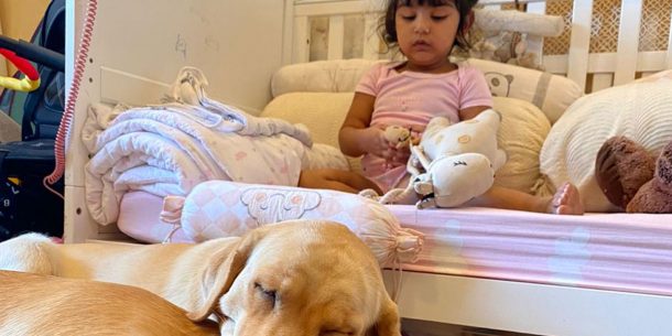 on-the-sevent-day on-the-sevent-day