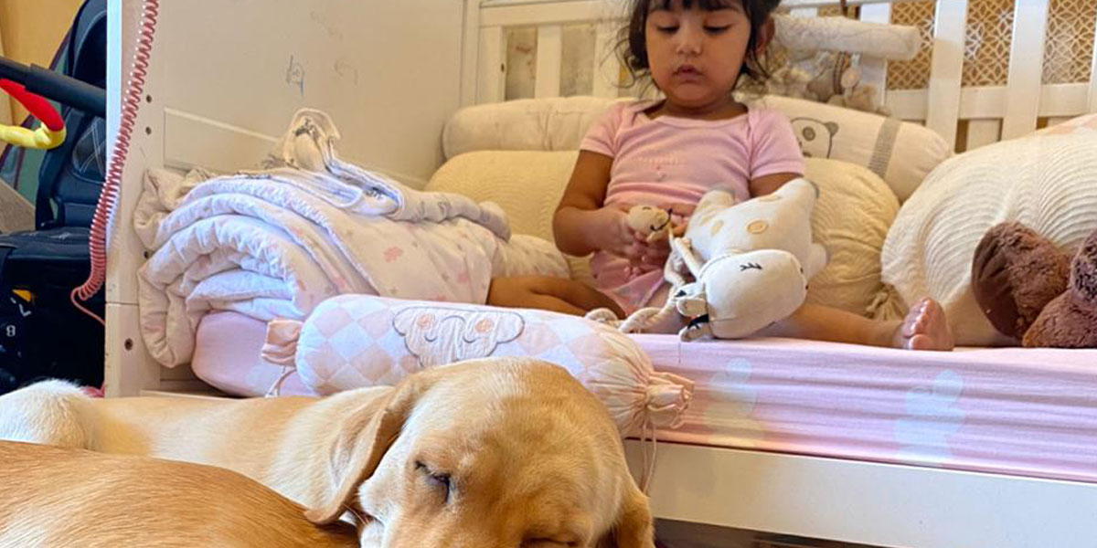 on-the-sevent-day on-the-sevent-day